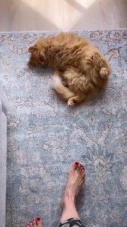 Erin Karpluk feet photo thumbnail