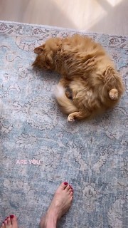 Erin Karpluk feet photo thumbnail