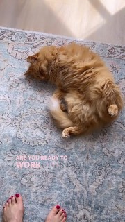 Erin Karpluk feet photo thumbnail