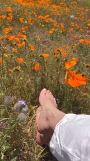 Erin Karpluk feet photo thumbnail