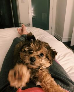 Erin Moriarty feet photo thumbnail