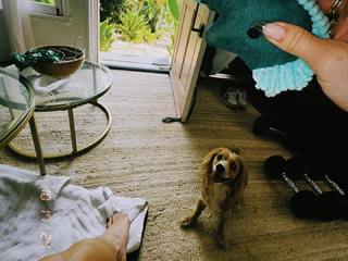 Erin Moriarty feet photo thumbnail