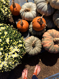Erin Napier feet photo 14