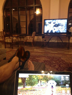 Erin Napier feet photo 2