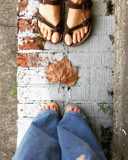 Erin Napier feet photo 16