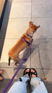Erubey de Anda feet photo 4