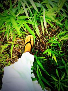 Erykah Badu feet photo thumbnail