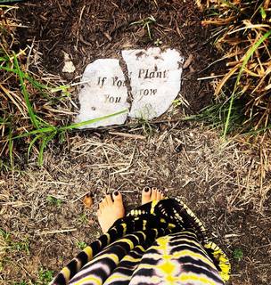 Erykah Badu feet photo thumbnail