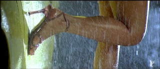 Esha Deol feet photo thumbnail