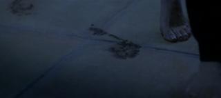 Estella Warren feet photo thumbnail