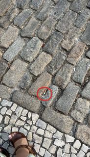 Ester Dobrik feet photo 19