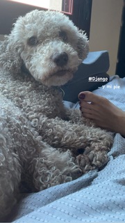 Esther Acebo feet photo thumbnail