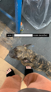 Esther Povitsky feet photo thumbnail