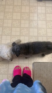 Esther Povitsky feet photo thumbnail