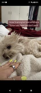 Esther Povitsky feet photo thumbnail