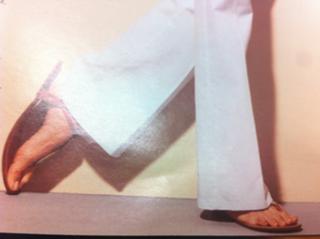 Eugenia Silva feet photo 11