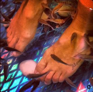 Eugenia Tobal feet photo 16