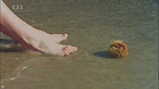 Eva Braun feet photo 2