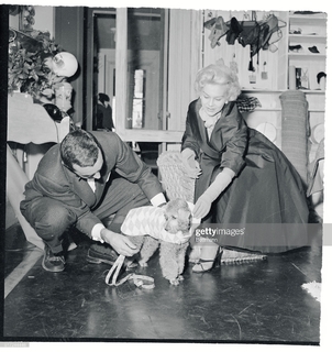 Eva Gabor feet photo 13