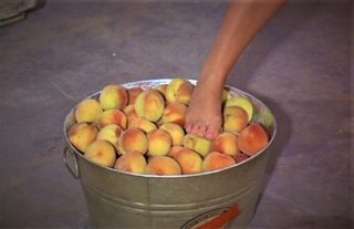Eva Gabor feet photo 12