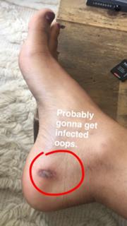Eva Gutowski feet photo 19