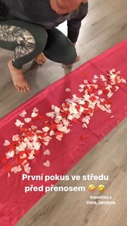 Eva Samková feet photo 1