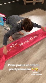 Eva Samková feet photo 20