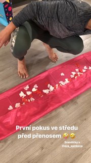 Eva Samková feet photo 19