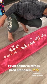 Eva Samková feet photo 18