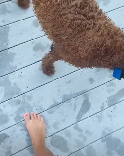 Eva Shockey feet photo 15