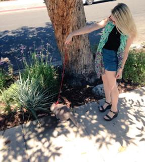 Evanna Lynch feet photo thumbnail