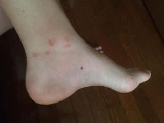 Evelien Smolders feet photo 2
