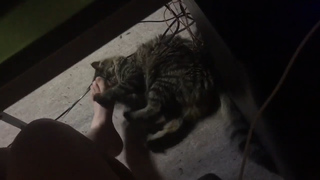 Evelien Smolders feet photo 11