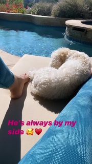 Evelyn Lozada feet photo thumbnail