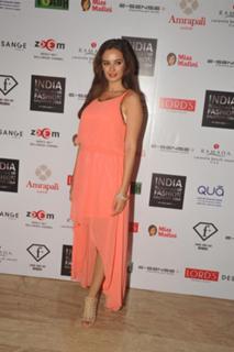 Evelyn Sharma feet photo 12