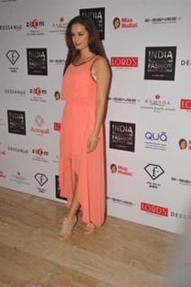 Evelyn Sharma feet photo 11