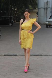 Evelyn Sharma feet photo 7