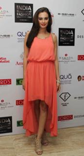 Evelyn Sharma feet photo 2