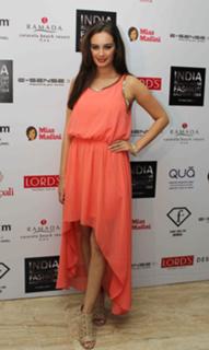 Evelyn Sharma feet photo 1