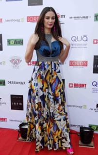 Evelyn Sharma feet photo 12