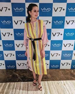 Evelyn Sharma feet photo 17