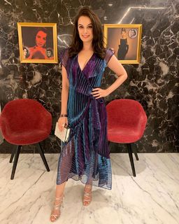 Evelyn Sharma feet photo 14