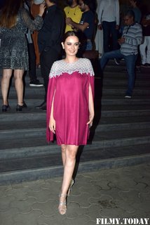 Evelyn Sharma feet photo 6