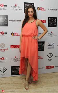 Evelyn Sharma feet photo 3