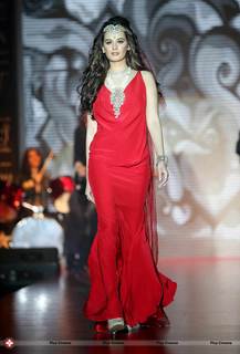 Evelyn Sharma feet photo 20