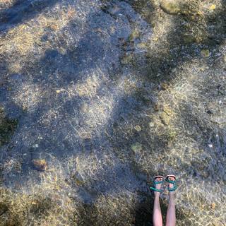 Ever Carradine feet photo 4