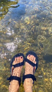 Ever Carradine feet photo 2