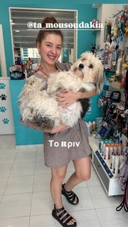 Evi Daelli feet photo 19