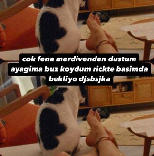Eylül Adigüzel feet photo 13