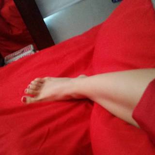 Fabiola Martinez feet photo 8